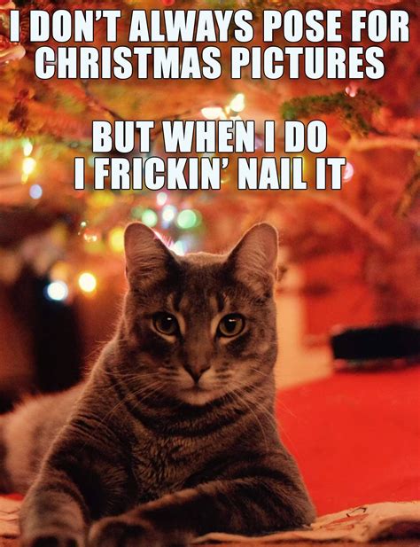 christmas cat meme|More.